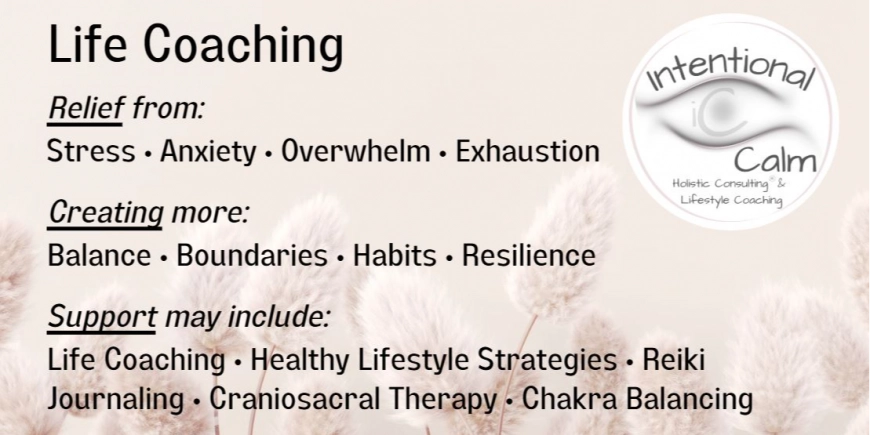 Calming the Chaos: A More Supportive Path Forward Calming the Chaos: A More Supportive Path Forward